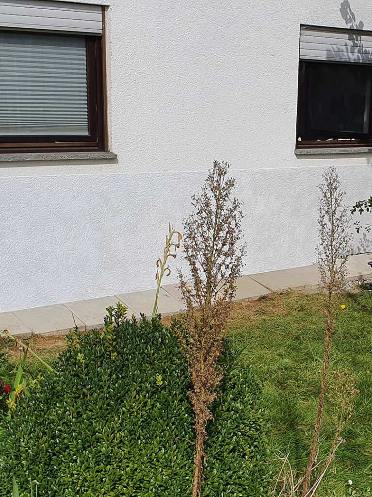 kewabo® gmbh niederlassung wangen referenzen